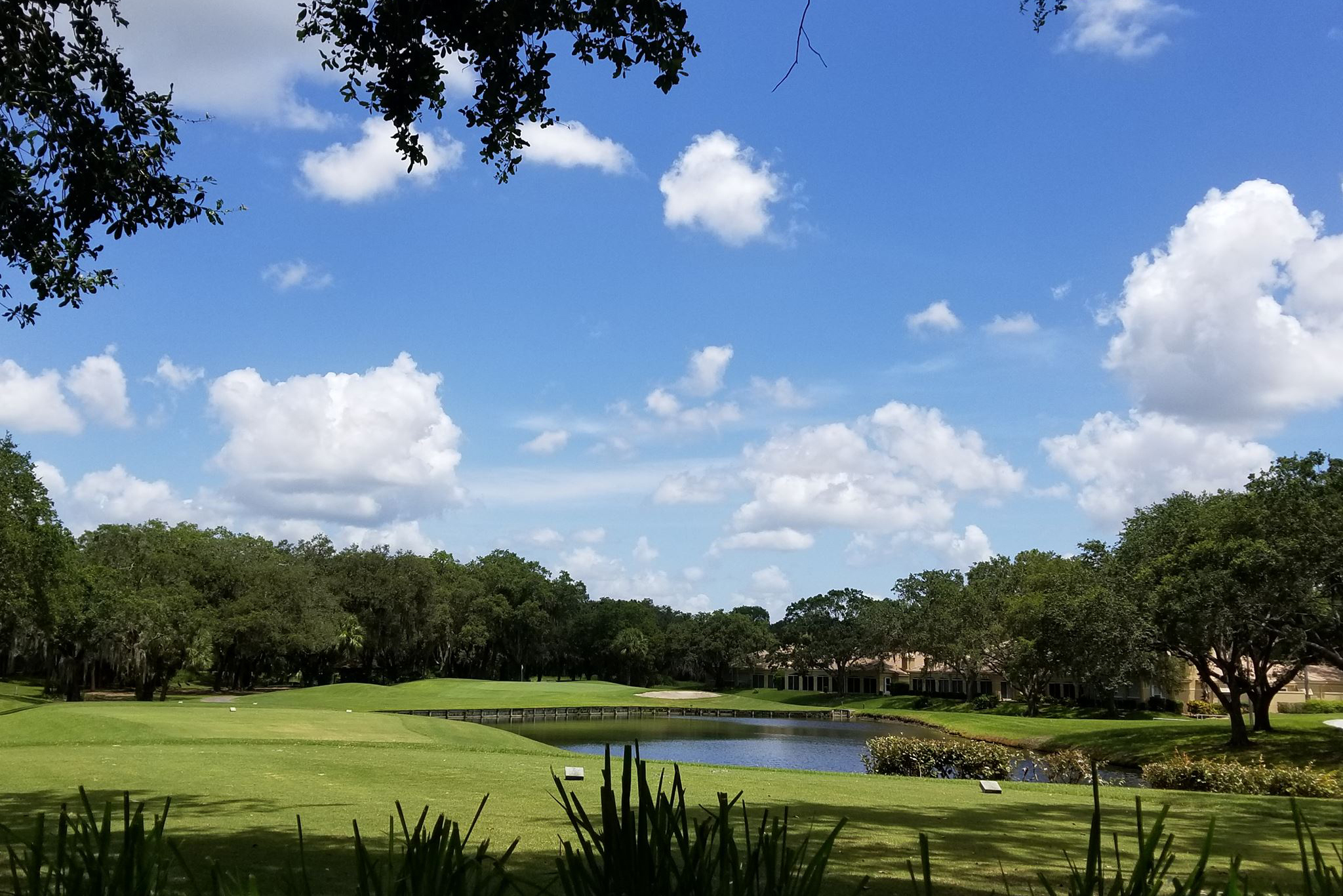 Groves - Hole 4