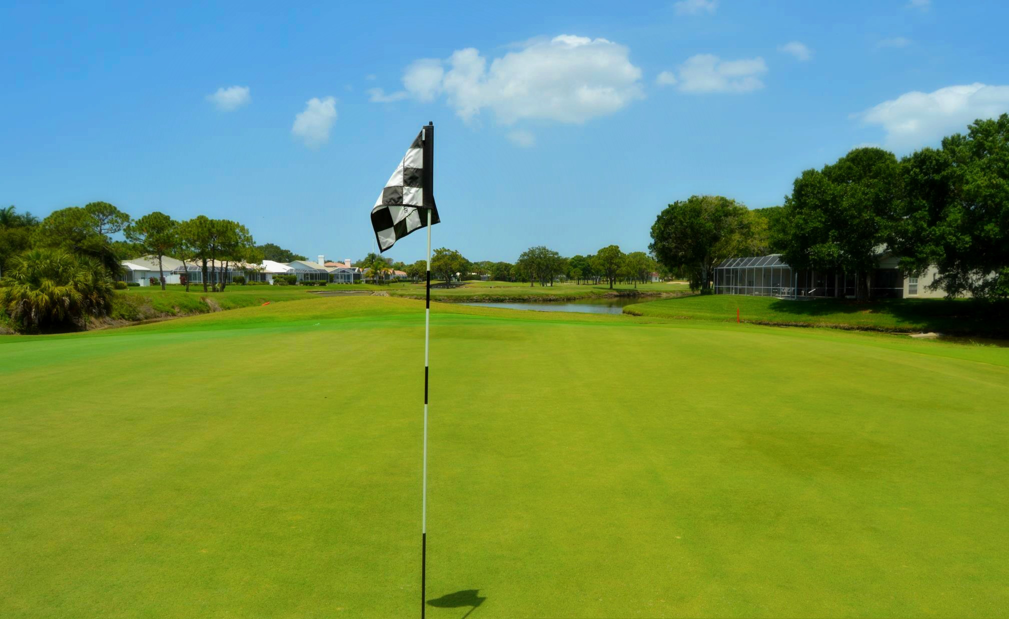 Meadows Hole 7