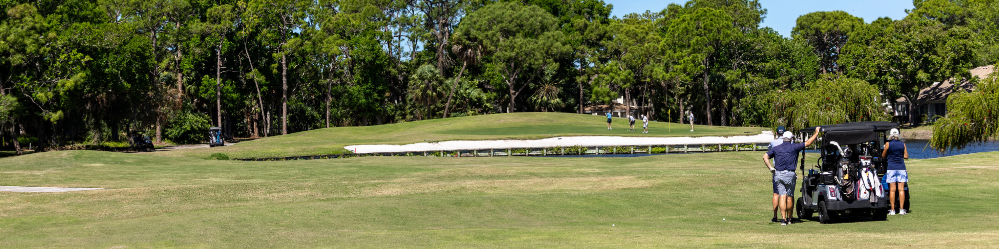Image of golf ball on tee on grass.